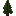 Blackwood Sapling