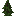 Blackwood Shrub