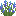 blue_lupine