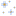Blue Magnolia Flowers