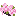 Cherry Shrub