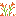 day_lily