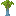 Eucalyptus Sapling