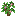 Flowering Sapling