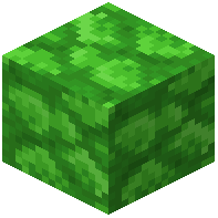 Green Bioshroom Block