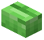 Green Bioshroom Button