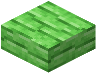 Green Bioshroom Slab