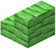 Green Bioshroom Stairs