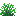 Green Snowbelle