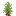 Joshua Shrub