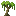 Kapok Sapling