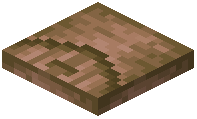 Kapok Trapdoor