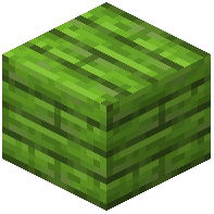 Lime Painted Planks