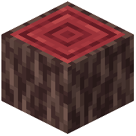 Magnolia Log
