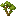Maple Sapling