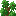 Oak Shrub