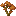 Orange Maple Sapling