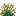 orange_snowbelle