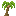 Palm Sapling