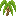 Palm Shrub