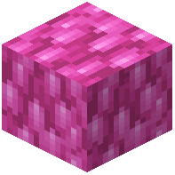 Pink Bioshroom Block
