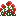 poppy_bush