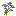 purple_coneflower