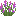 purple_lupine