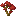 Red Maple Sapling