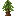 Redwood Sapling