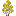 Silver Birch Sapling