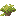 Socotra Shrub