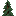 Spruce Shrub