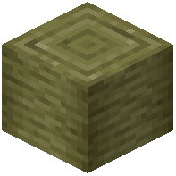 Stripped Cypress Log