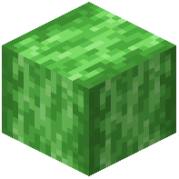 Stripped Green Bioshroom Hyphae