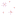 White Magnolia Flowers
