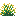 yellow_snowbelle
