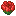 Witherless Rose