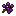 Elderberry