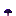 Purple Mushroom