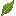 Salvia Divinorum Leaf