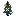 Blue Flowering Spruce Sapling