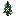 Cyan Flowering Spruce Sapling