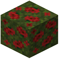 Double Compacted Poppy Block