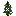 Green Flowering Spruce Sapling