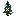 Light BLue Flowering Spruce Sapling