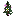 Magenta Flowering Spruce Sapling