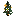 Orange Flowering Spruce Sapling