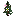 Pink Flowering Spruce Sapling