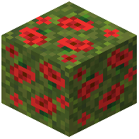 Poppy Block